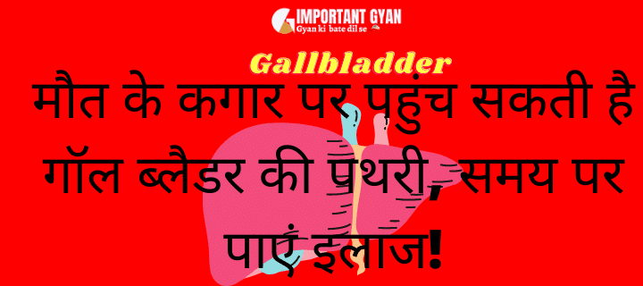 Gallbladder in Hindi